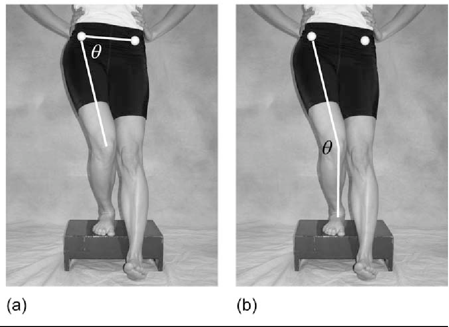 Decode your Knee Pain